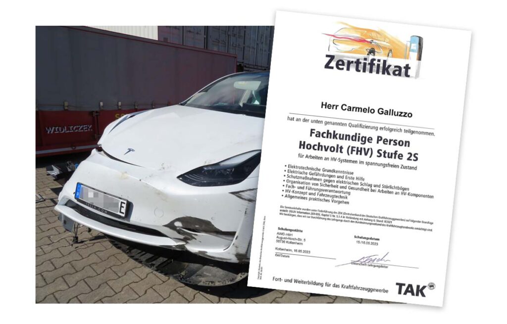Tesla Gutachten